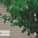 Сайдинг Ю-Пласт TIMBERBLOCK Пихта (Тимберблок) Cахалинская купить в Ногинске