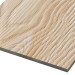 Фиброцементные панели FCSPRO Decor Wood Лиственница купить в Ногинске